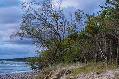 今日新開夢幻西游sf